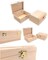 12 Pc Unfinished Rectangle Wood Boxes, Natural DIY Craft Stash Boxes with Hinged Lid and Clasp, Ideal for Arts, Crafts, Hobbies, Jewelry, and Keepsake Storage